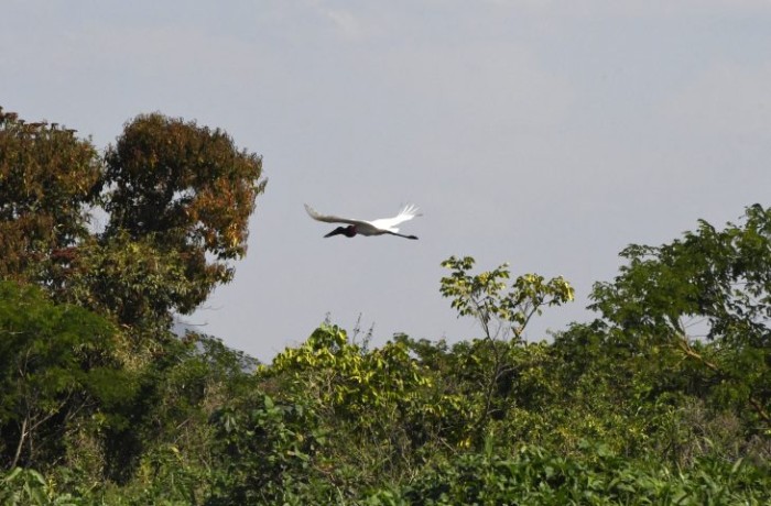 Foto: Reprodução/Secom Mato Grosso do Sul