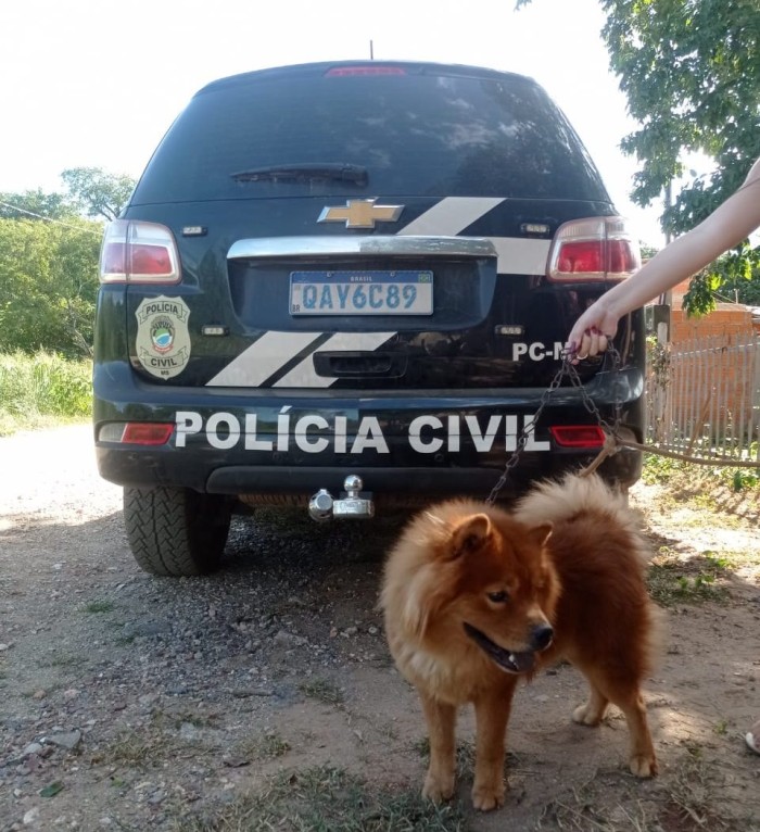 Foto: Reprodução/Polícia Civil - MS