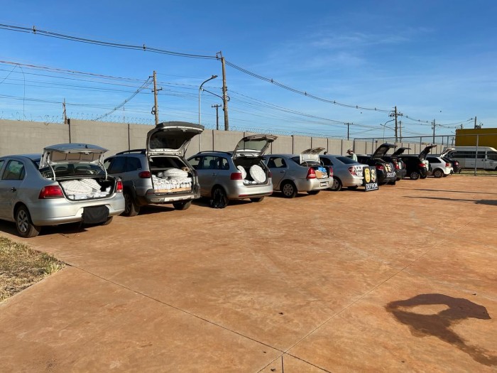 Foto: Reprodução/Polícia Civil - MS