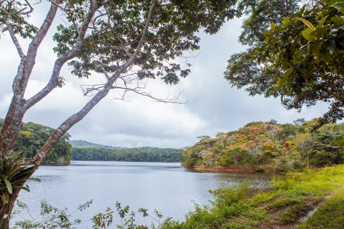 Foto: Reprodução/Prefeitura de Caruaru - PE