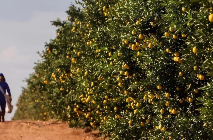 Foto: Reprodução/Secom Mato Grosso do Sul