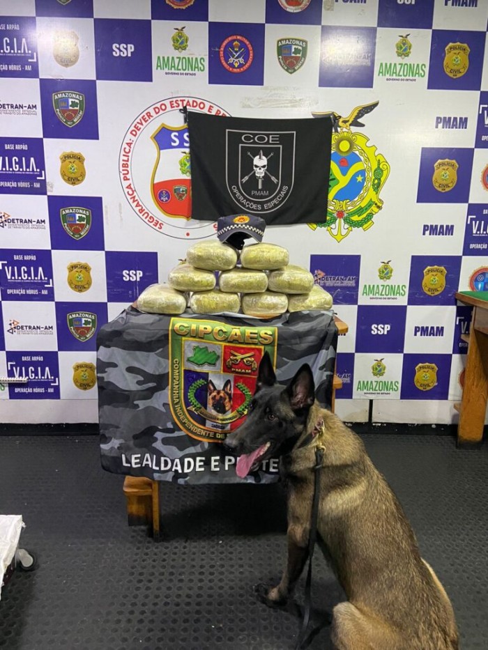 Base Arpão I: no município de Coari, Forças de Segurança apreendem droga avaliada em R$ 260 mil