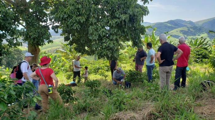 Sistema de café arborizado é tema de intercâmbio de conhecimentos realizado em Alegre