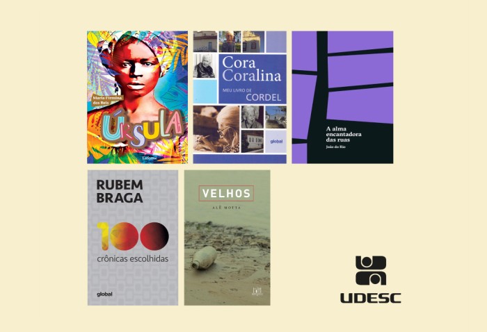 Udesc define obras literárias do Vestibular de Inverno 2024 e abertura das inscrições