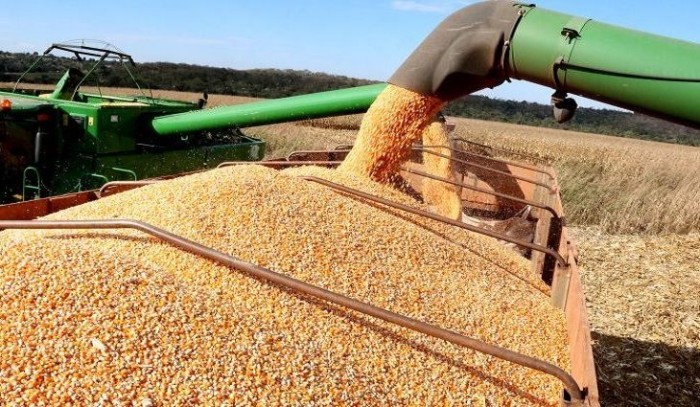 Foto: Reprodução/Secom Mato Grosso do Sul