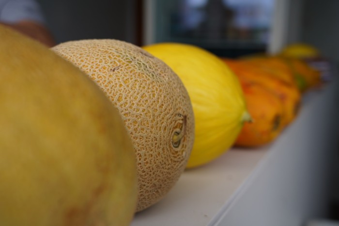 Produtos da Agricultura Familiar são destaques no Show Safra 2024