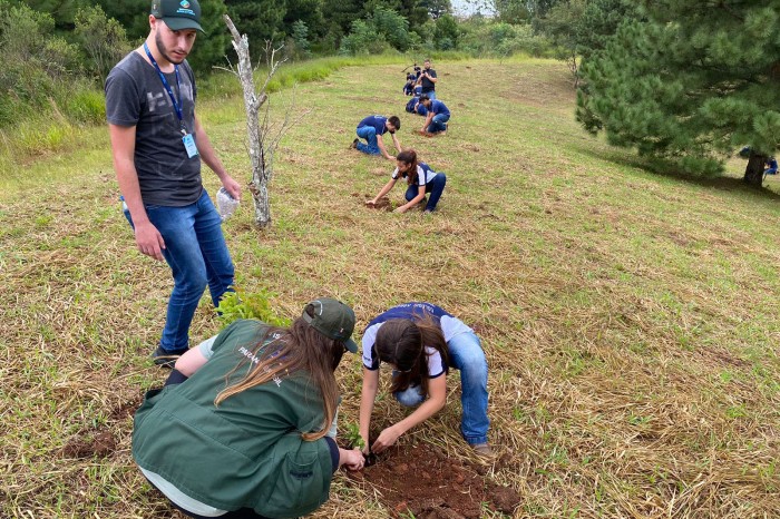 Foto: IAT Ponta Grossa