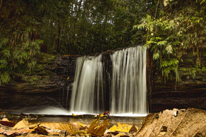 No Dia Mundial da Água, governo do Acre reforça importância da união para preservação dos recursos hídricos