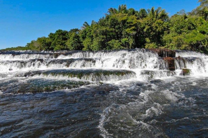 Crédito: ONÇAFARI/Divulgação