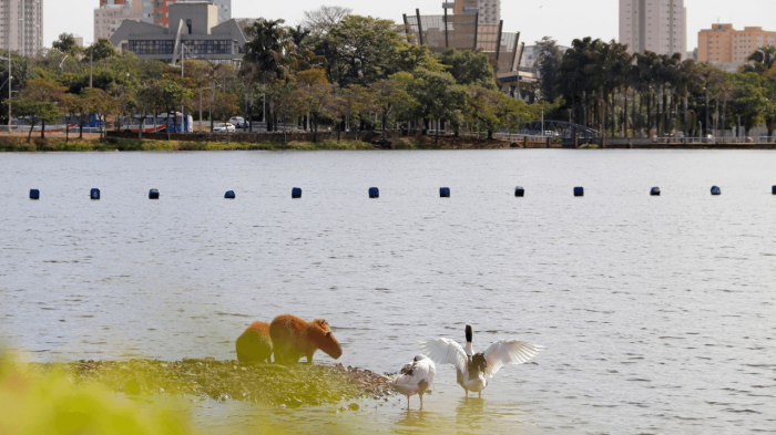Rio Preto é classificada como Município de Interesse Turístico (MIT)
