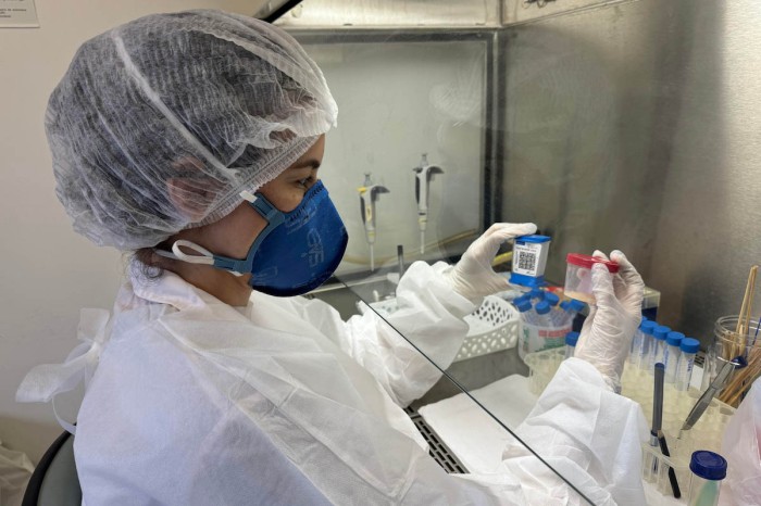 Foto: Regiane Bertin de Lima Scodro/Lepac/UEM