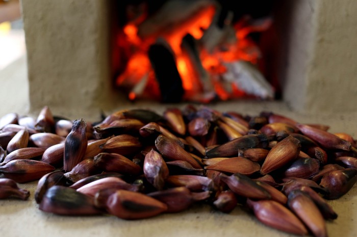 Foto: Gilson Abreu/SGAS