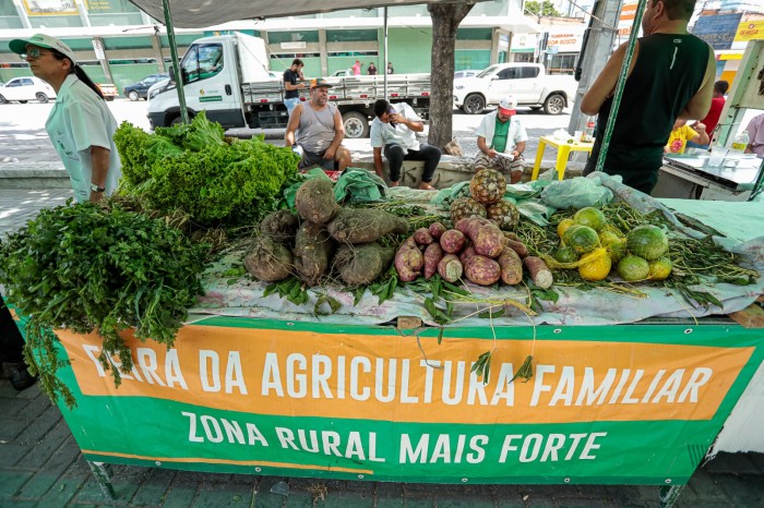 Foto: Reprodução/Prefeitura de Caruaru - PE