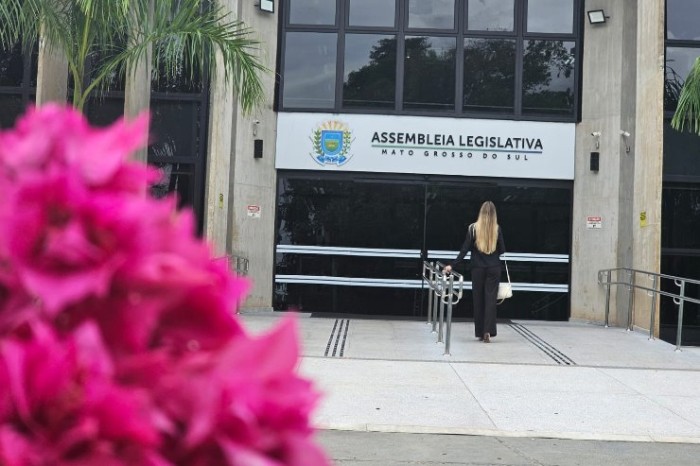 Mês das Mulheres: ALEMS fortalece legislação contra a desigualdade de gênero