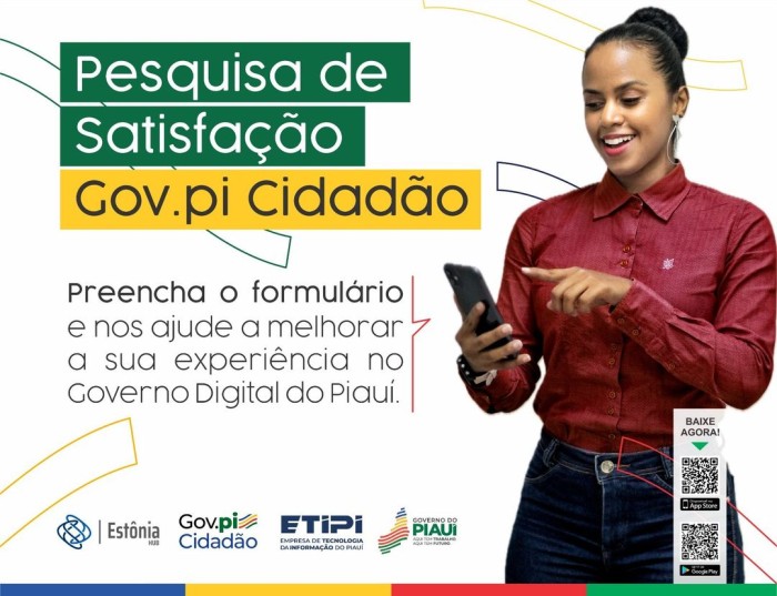 Etipi e Estônia Hub realizam pesquisa de satisfação sobre o governo digital