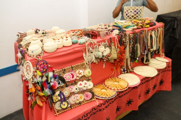 Foto: Reprodução/Agência Amazonas