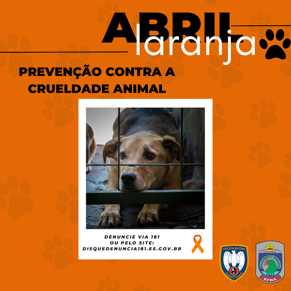 Foto: Reprodução/Polícia Militar - ES