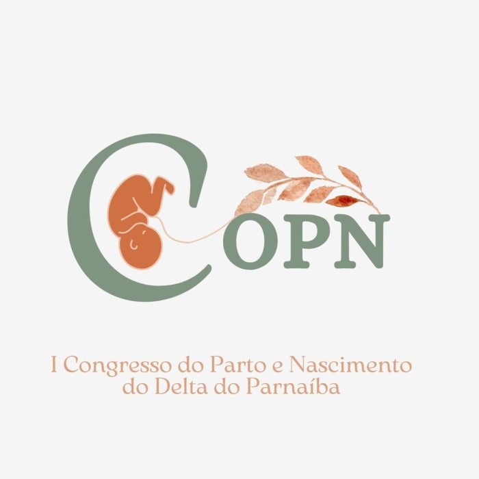 Foto: Reprodução/Secom Piauí