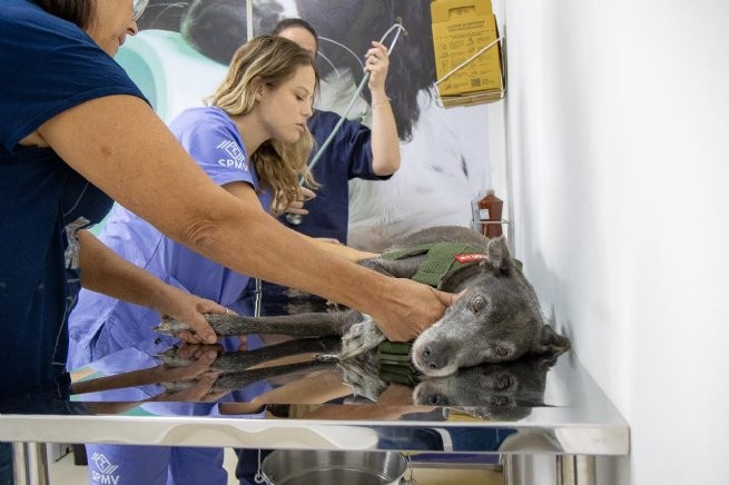 Foto: Reprodução/Prefeitura de São Sebastião - SP