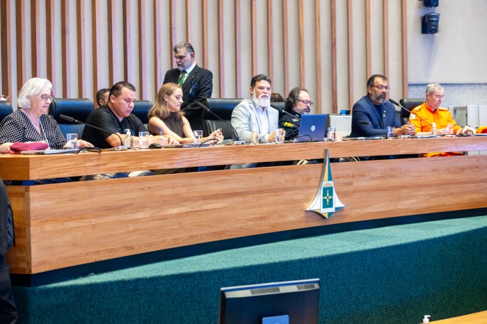 Câmara Legislativa promove conscientização sobre o autismo em sessão solene