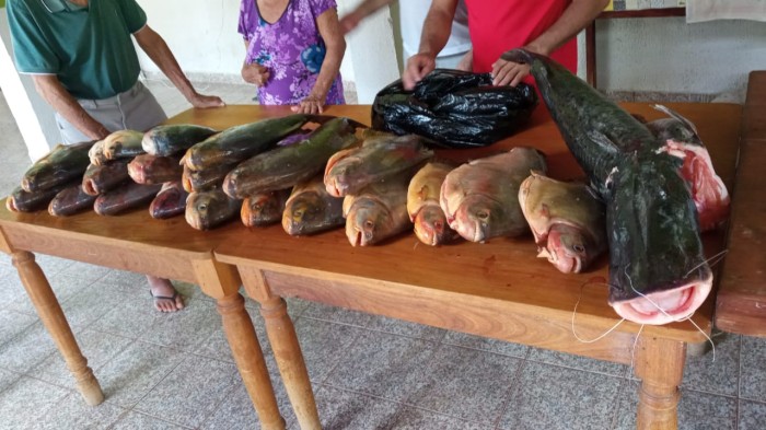 PMA de Porto Murtinho faz doação de pescado apreendido para asilos e escolas da cidade