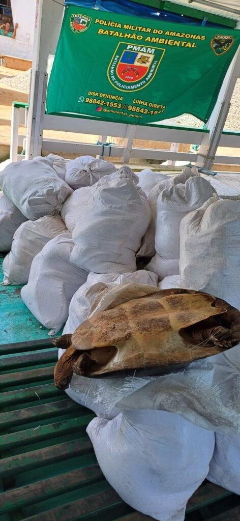 Polícia Militar do Amazonas apreende cerca de duas toneladas de pescado ilegal