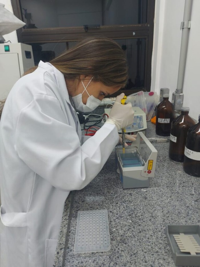 Pesquisa apoiada pelo Governo do Amazonas analisa a diversidade geográfica e epidemiológica de inseto da região