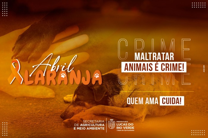Abril Laranja: Prefeitura inicia campanha de prevenção ao abandono animal