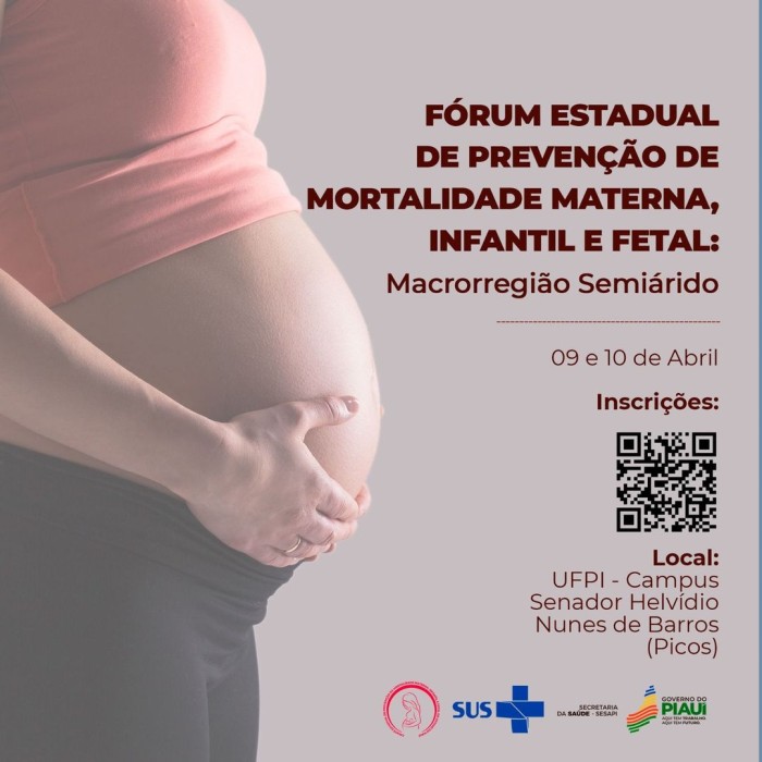 Sesapi realiza Fórum de Prevenção à Mortalidade Materna Infantil e Fetal na macrorregião do Semiárido
