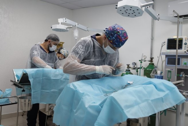 Foto: Reprodução/Prefeitura de São Sebastião - SP