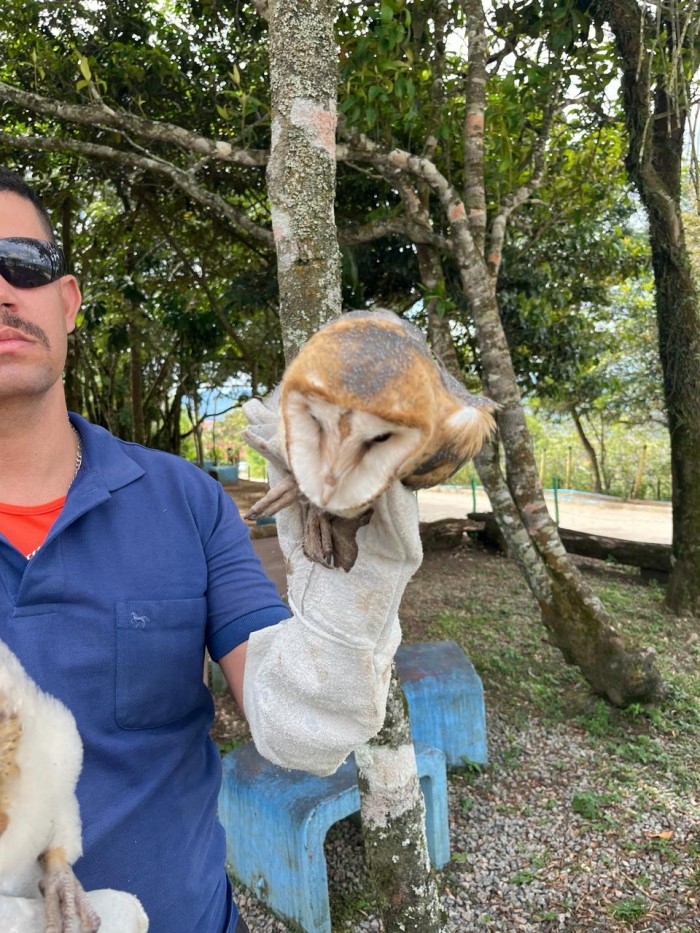 Foto: Reprodução/Prefeitura de Caruaru - PE