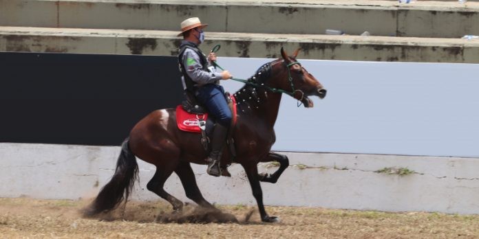 ExpoBahia 2024 conta com apoio do Governo do Estado, em Salvador