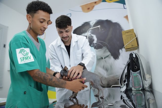 Foto: Reprodução/Prefeitura de São Sebastião - SP