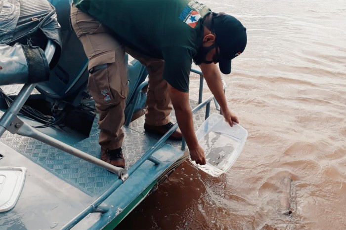 Crédito: Divulgação