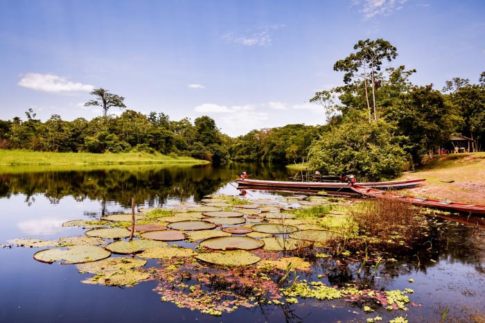 Com autoridades federais e estaduais, 27º Fórum de Governadores da Amazônia Legal promove debate sobre preservação e desenvolvimento da região