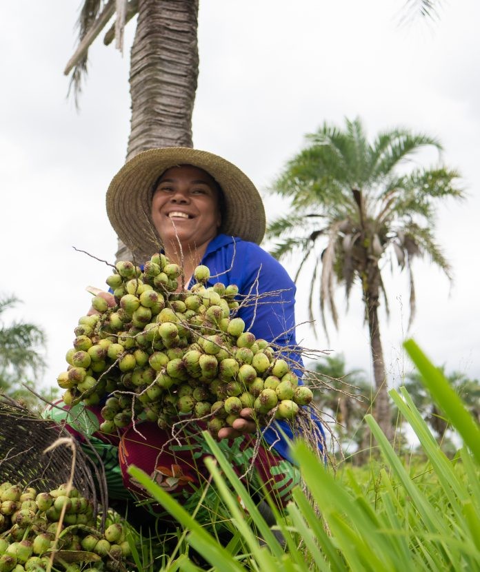 Projeto Sertão Vivo abre caminhos para o Semiárido