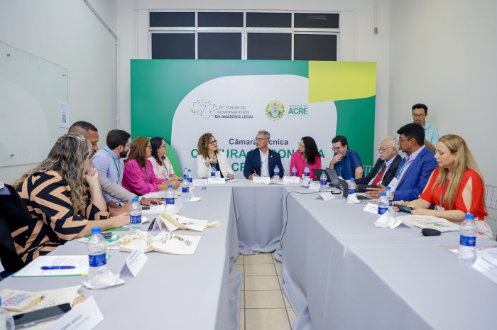 Câmara Temática de Cultura e Economia Criativa discute programas e ações conjuntas com representantes de estados da Amazônia Legal