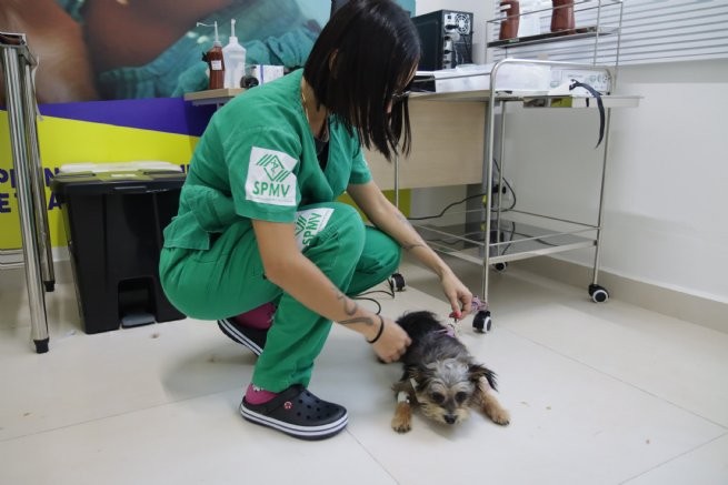 Foto: Reprodução/Prefeitura de São Sebastião - SP