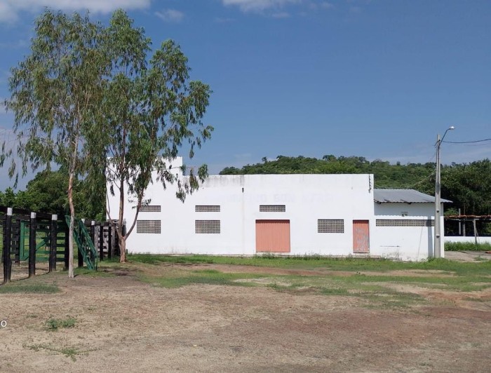 Piauí reforça fiscalização em pontos com maior risco de febre aftosa