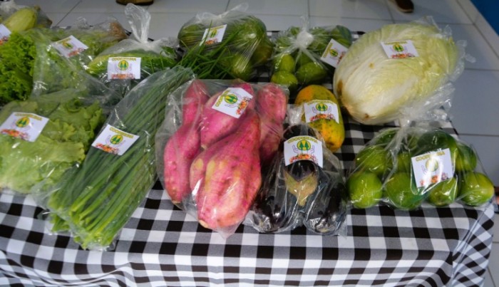 Crédito:Prefeitura de Itiquira - 