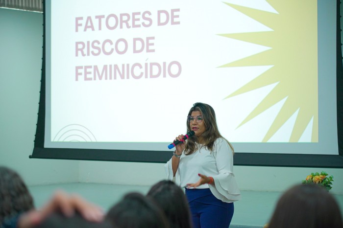 Rede de Enfrentamento à Violência Doméstica recebe capacitação do projeto “Casa de Eurídice”