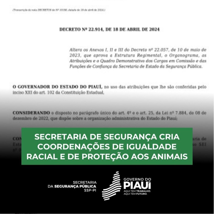 Foto: Reprodução/Secom Piauí