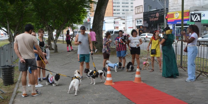 Foto: ReproduÃ§Ã£o/Prefeitura de Feira de Santana - BA