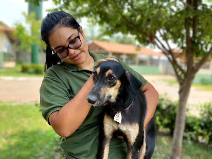 CCZ: Nos dias 25 e 26 de abril será o agendamento para castração de cães e gatos
