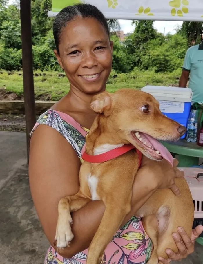 Foto: Reprodução/Prefeitura de Simões Filho - BA