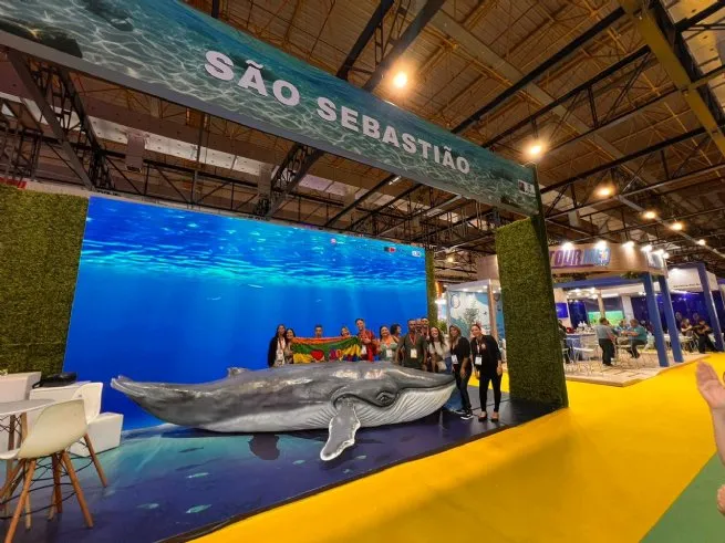 Jubartes começam a chegar e São Sebastião inicia ativação da temporada de baleias