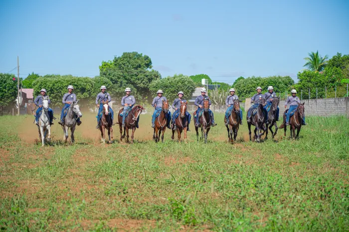 Mais efetivo: PMs já fazem curso de formação para Cavalaria em LRV