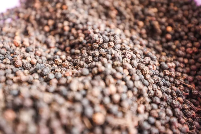 Crédito: Pedro Guerreiro / Ag. Pará