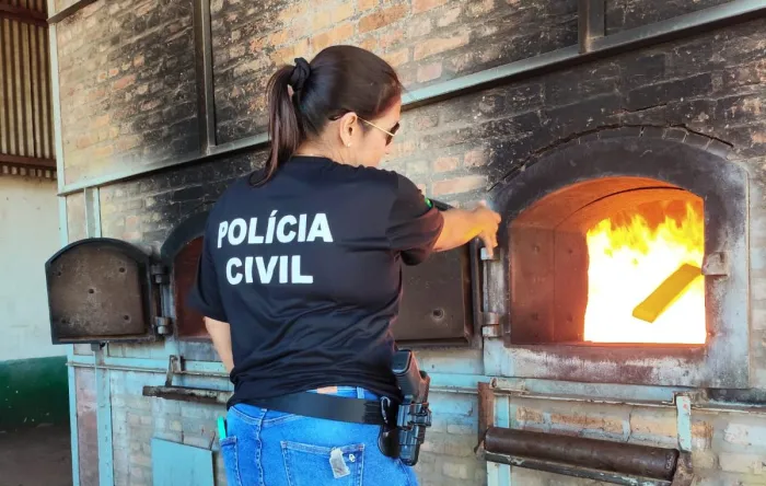 Polícia Civil incinera mais de 4 toneladas de drogas em Amambai