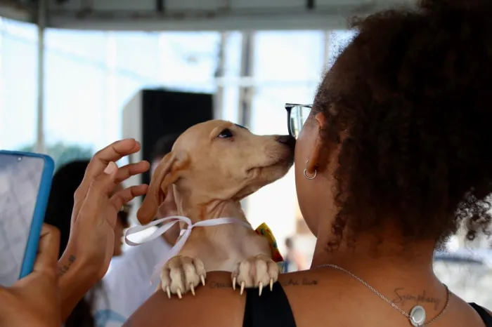 Foto: Reprodução/Secom Paraíba